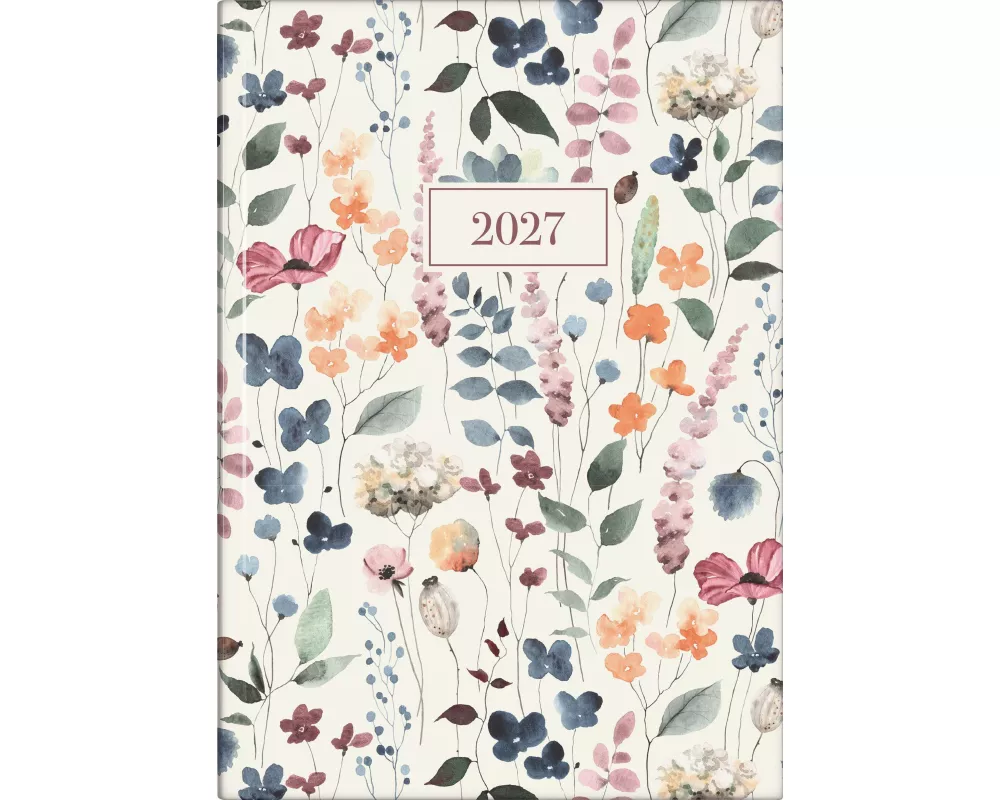 rido/idé 7028507027 Buchkalender Premium Young Line 2027 "Watercolor" A5, Papier