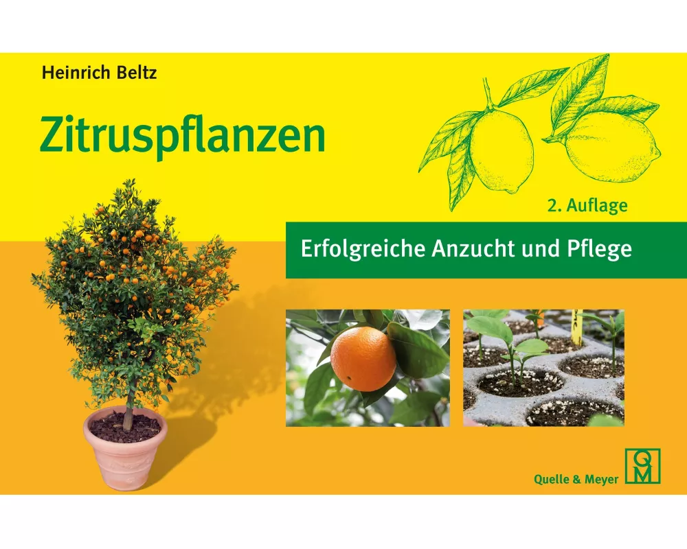 Zitruspflanzen