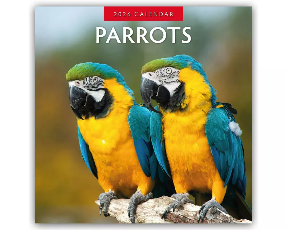 Parrots 2026 Square Wall Calendar