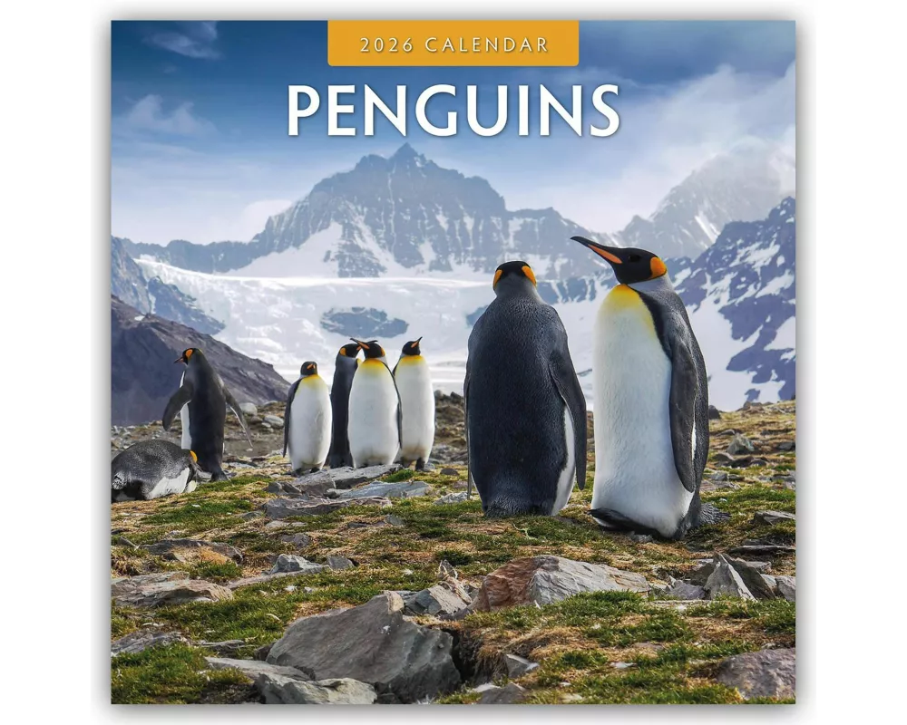 Penguins 2026 Square Wall Calendar