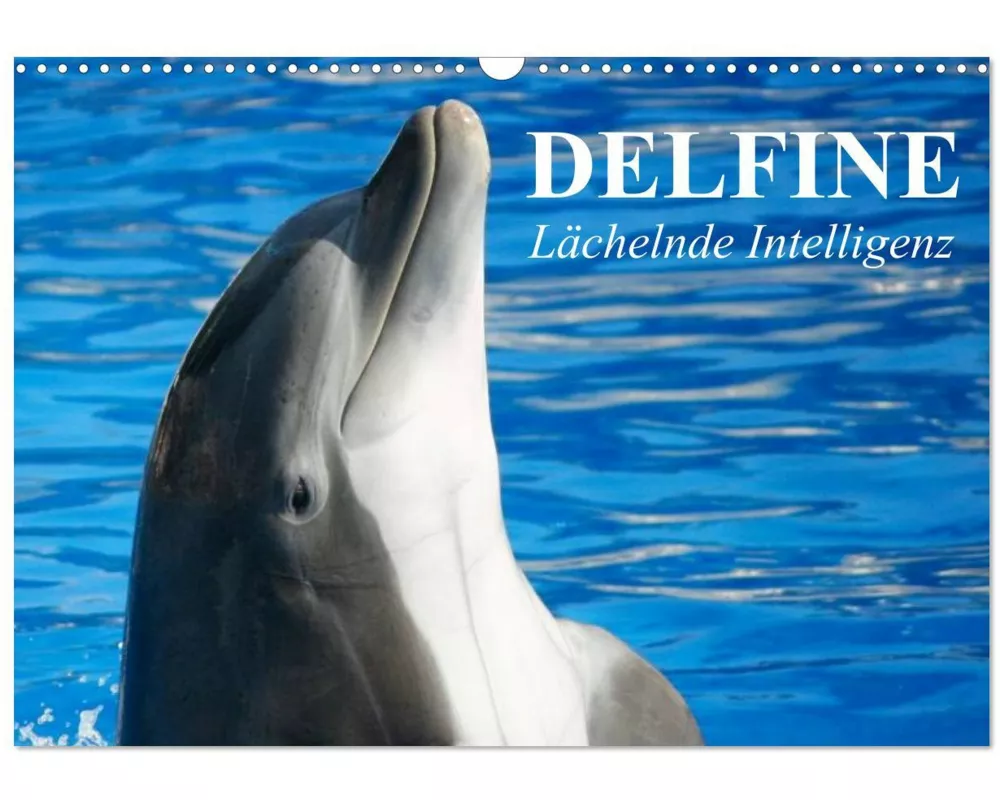 Delfine - Lächelnde Intelligenz (Wandkalender 2026 DIN A3 quer), CALVENDO Monatskalender