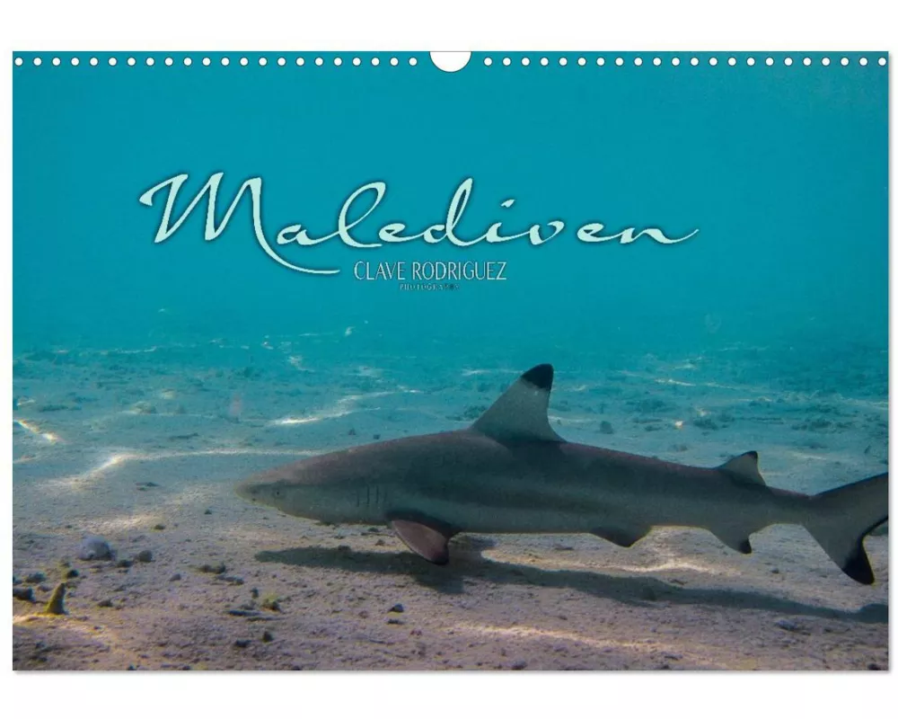 Unterwasserwelt der Malediven I (Wandkalender 2026 DIN A3 quer), CALVENDO Monatskalender