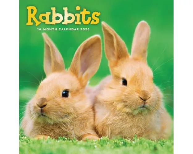 Rabbits Square Wall Sunday Start Calenda