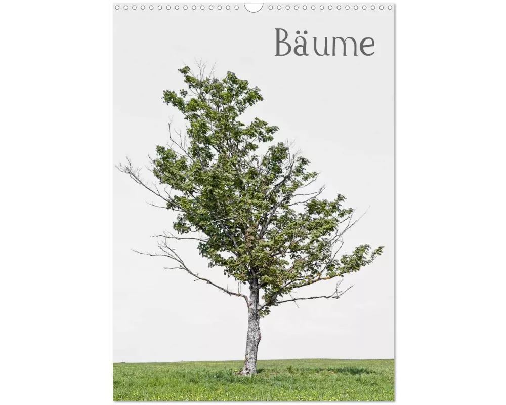Bäume (Wandkalender 2026 DIN A3 hoch), CALVENDO Monatskalender