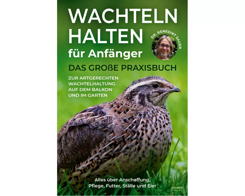 Wachteln halten für Anfänger