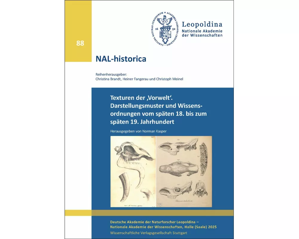 Texturen der 'Vorwelt'