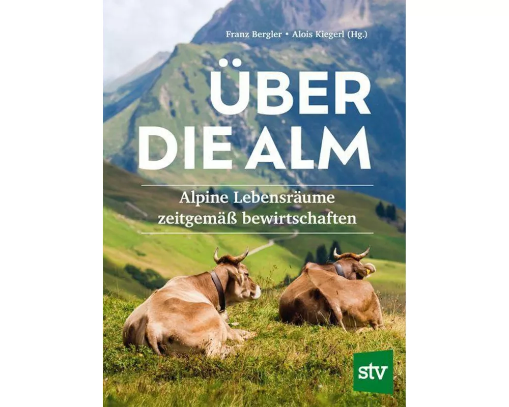 Über die Alm