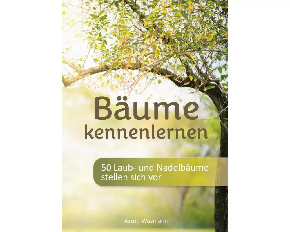 Bäume kennenlernen