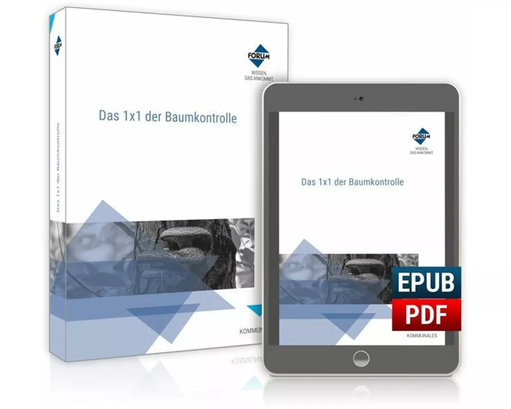 Das 1x1 der Baumkontrolle / Kombi-Ausgabe