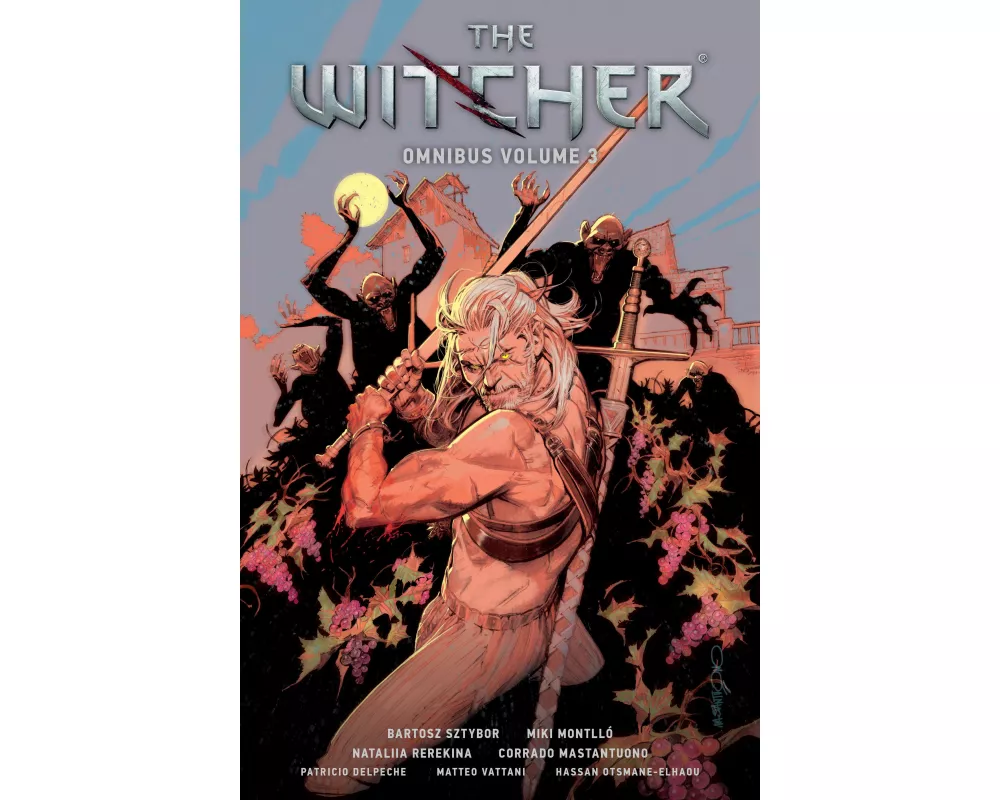 The Witcher Omnibus Volume 3