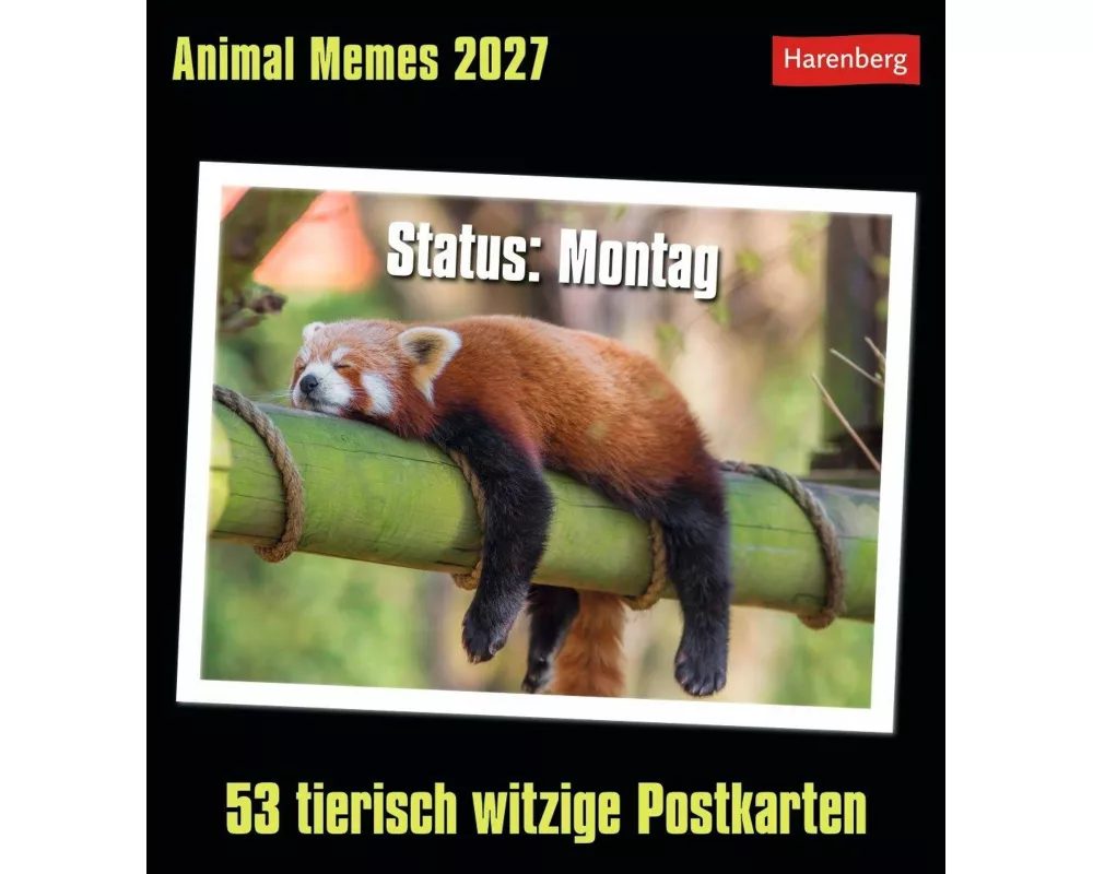 Animal Memes Postkartenkalender 2027 - 53 tierisch witzige Postkarten