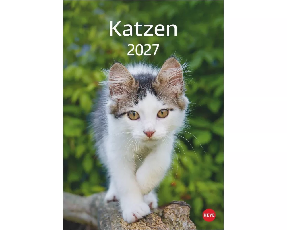 Katzen Kalender 2027