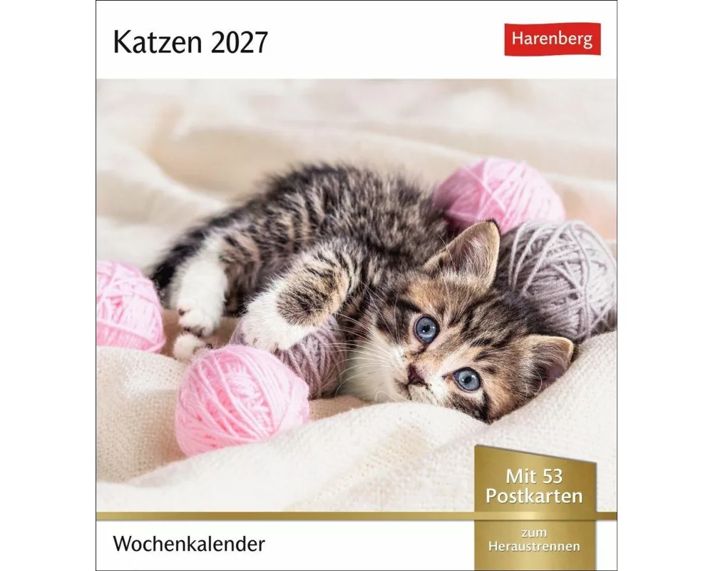 Katzen Postkartenkalender 2027 - Wochenkalender mit 53 Postkarten
