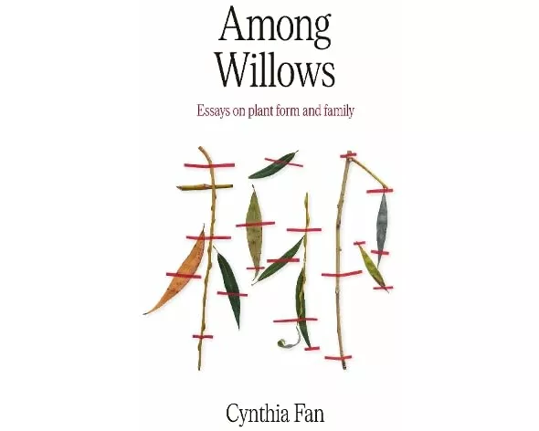Among Willows