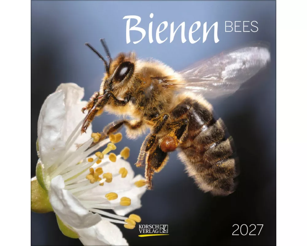 Bienen 2027