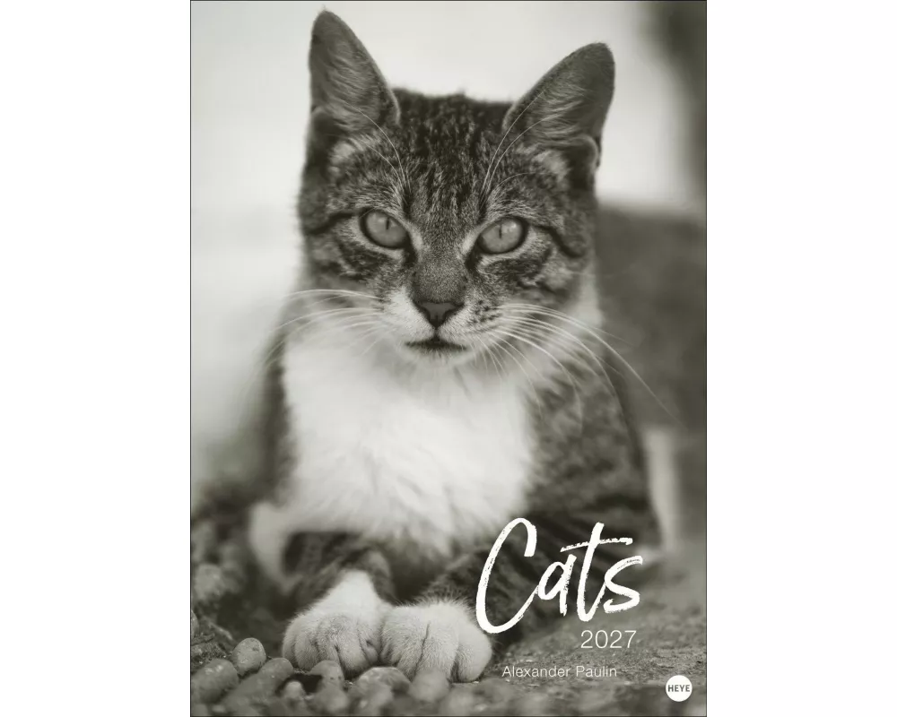 Cats Edition Kalender 2027