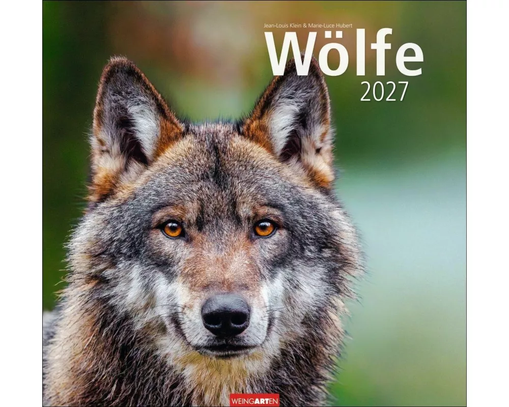 Wölfe Kalender 2027