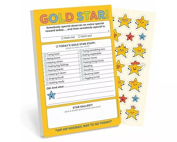 Knock Knock Kids Gold Star! Playtime Pads