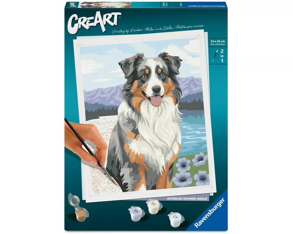 Ravensburger CreArt 12023114 - Australian Shepherd Merlin - Malen nach Zahlen ab 12 Jahren