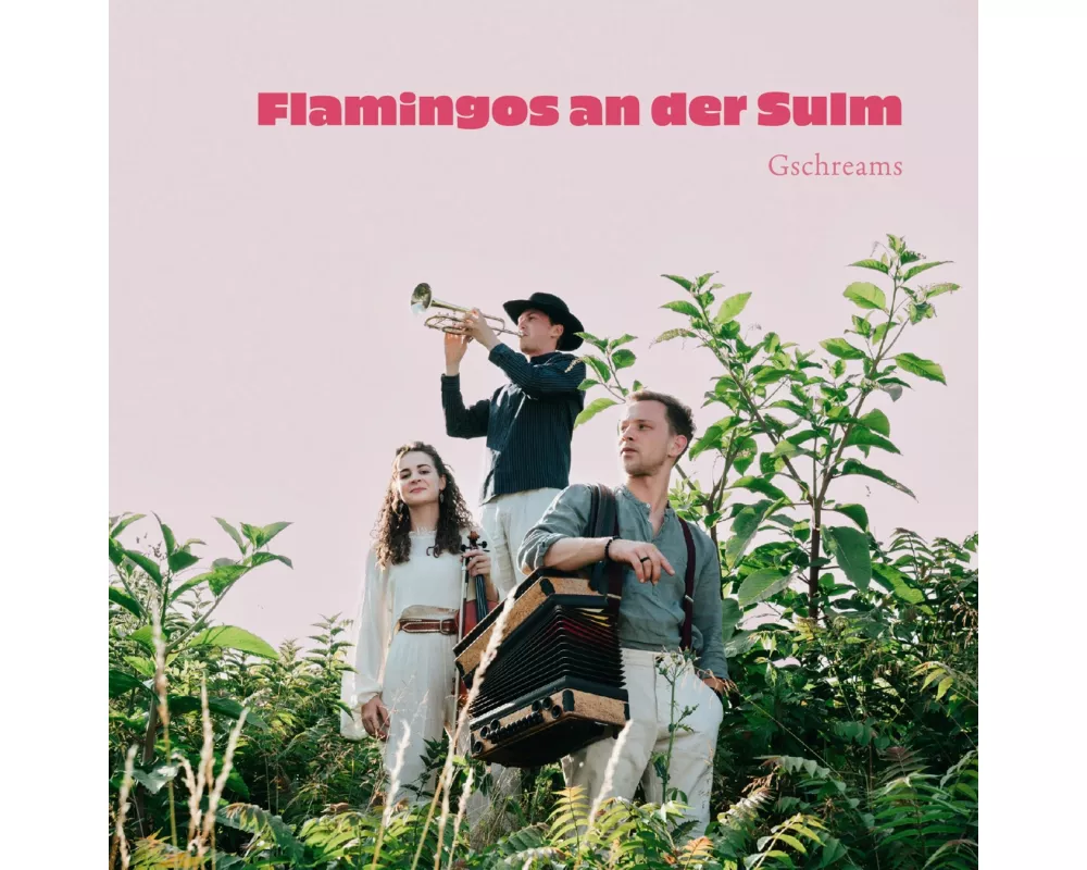 Flamingos an der Sulm