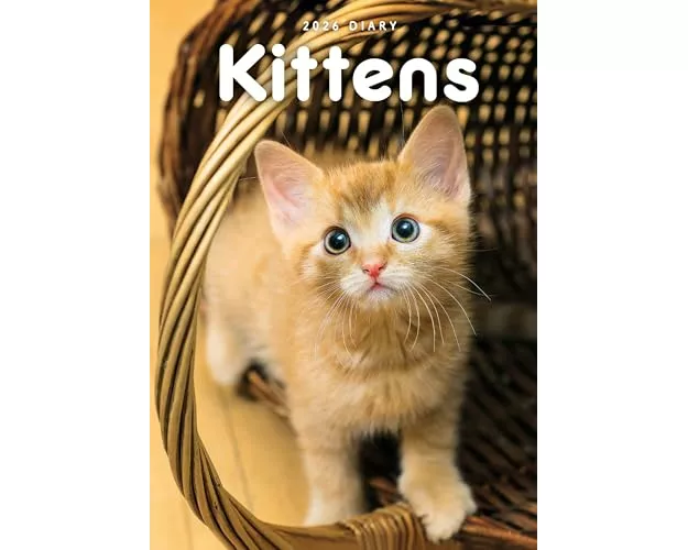 Kittens A5 Diary 2026