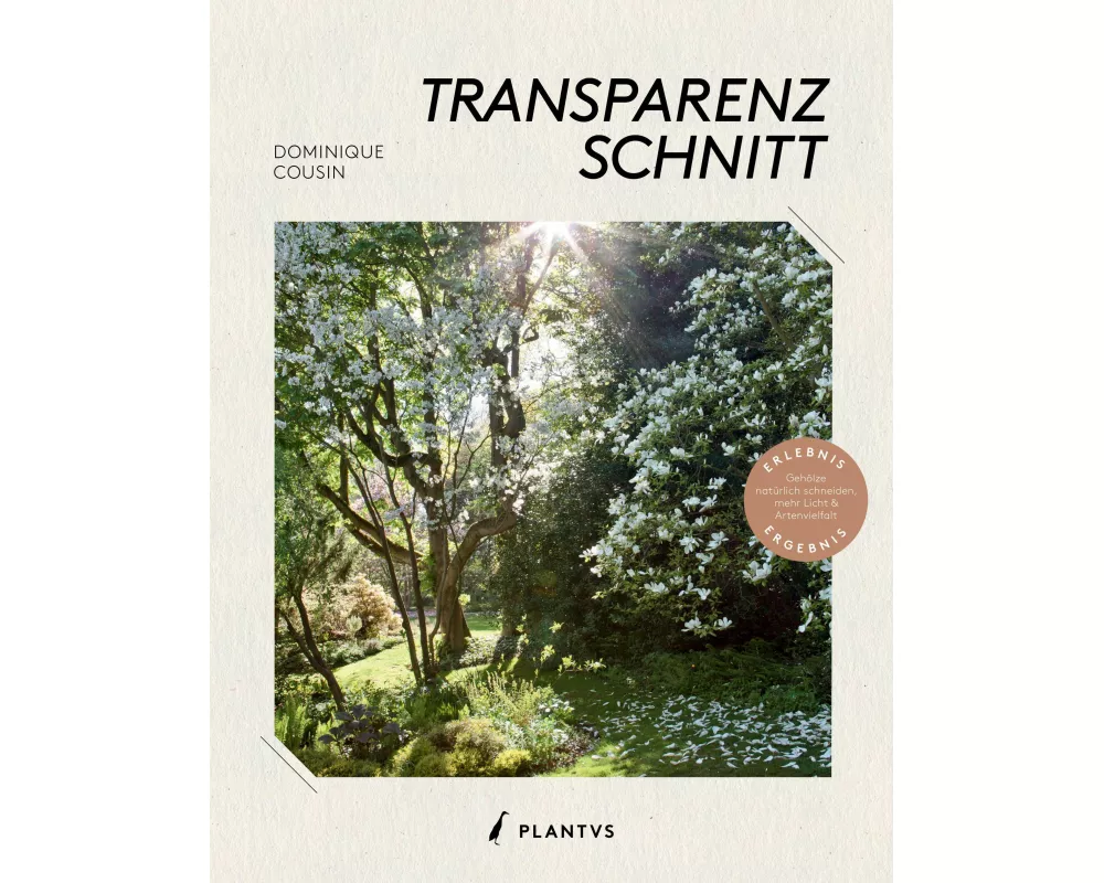 Transparenzschnitt