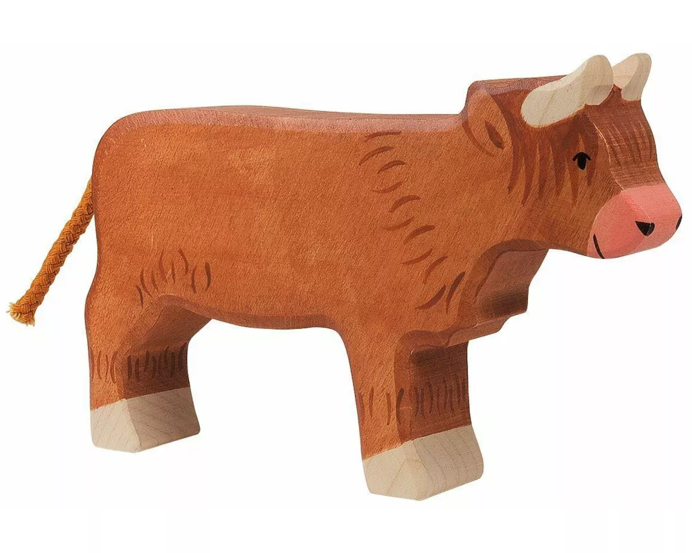 Schottisches Hochlandrind, stehend