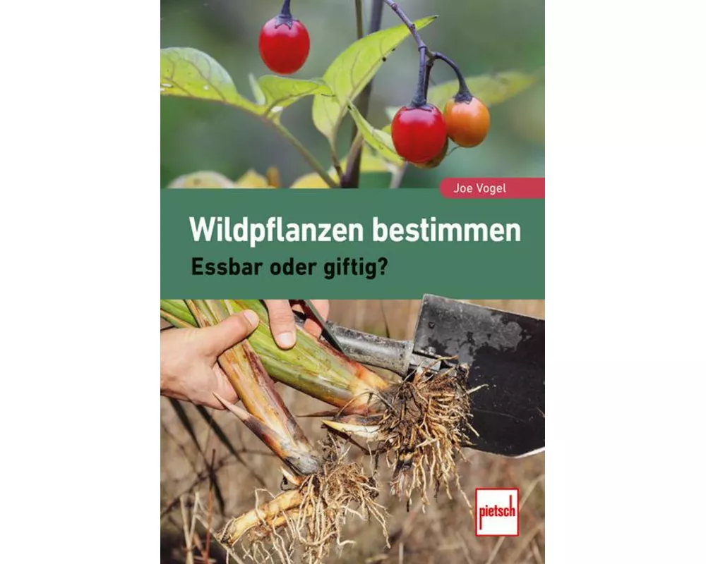 Wildpflanzen bestimmen