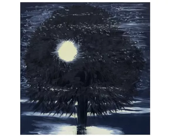 Ann Craven: Night