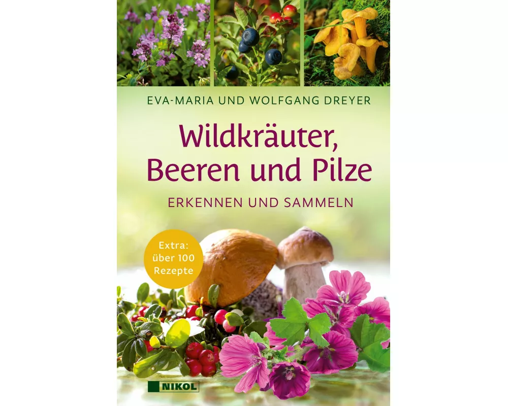 Wildkräuter, Beeren und Pilze