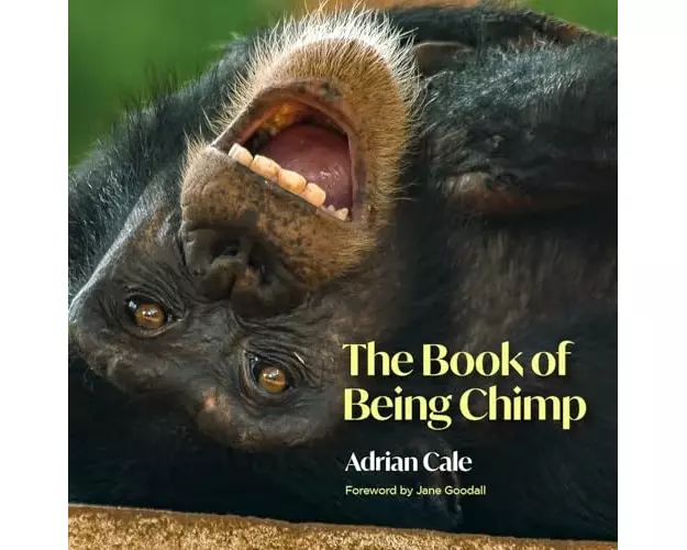 The Book of Being Chimp