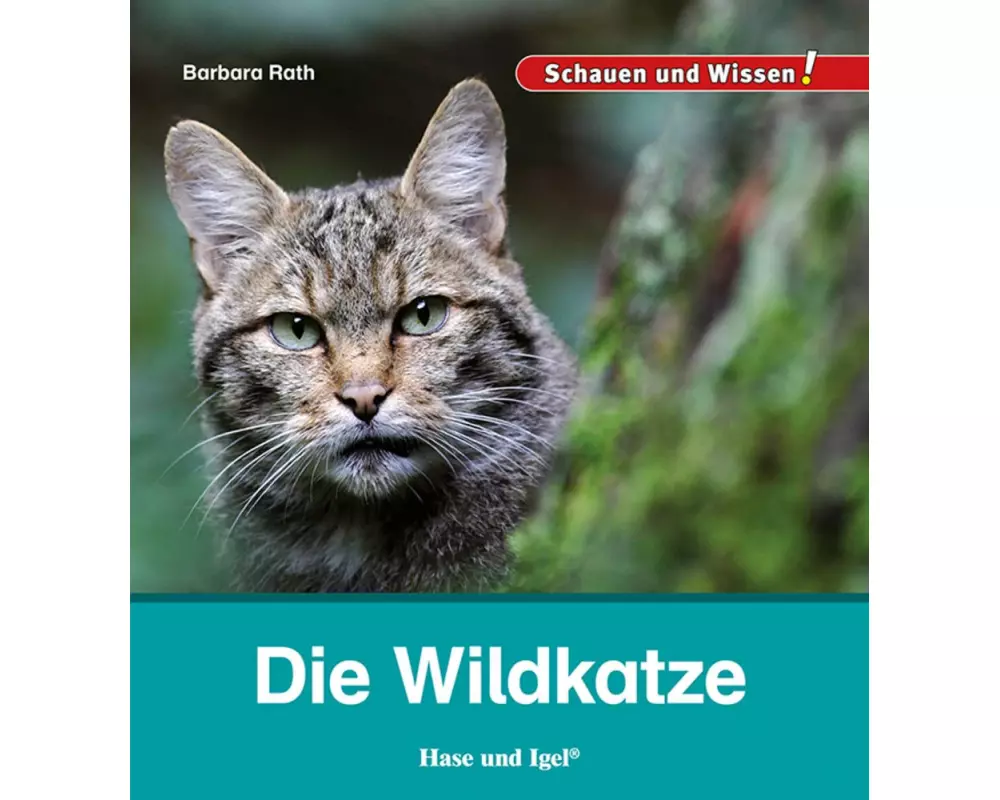 Die Wildkatze