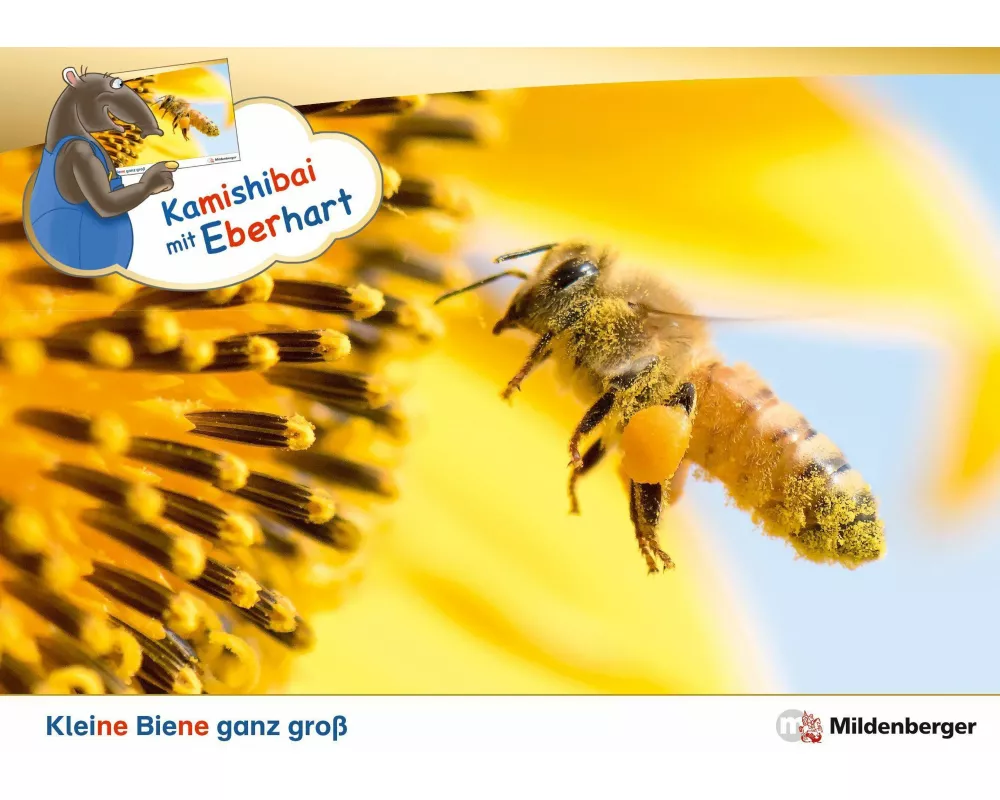 Kamishibai mit Eberhart - Kleine Biene ganz groß - Set