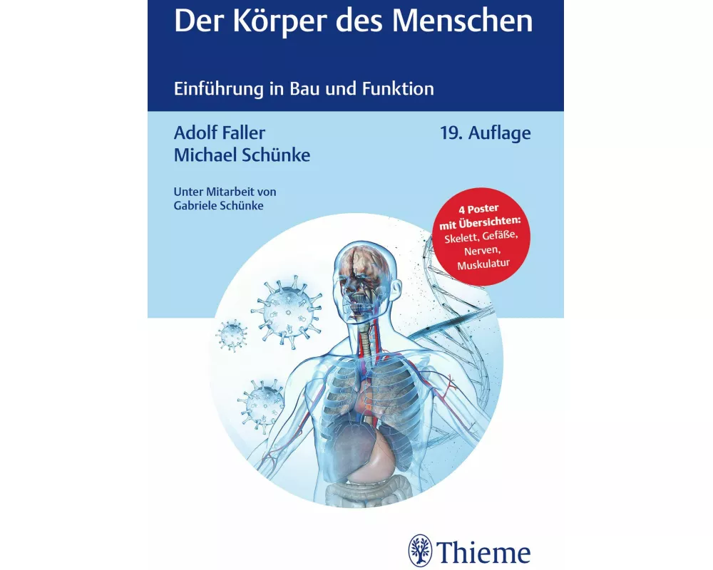 Der Körper des Menschen