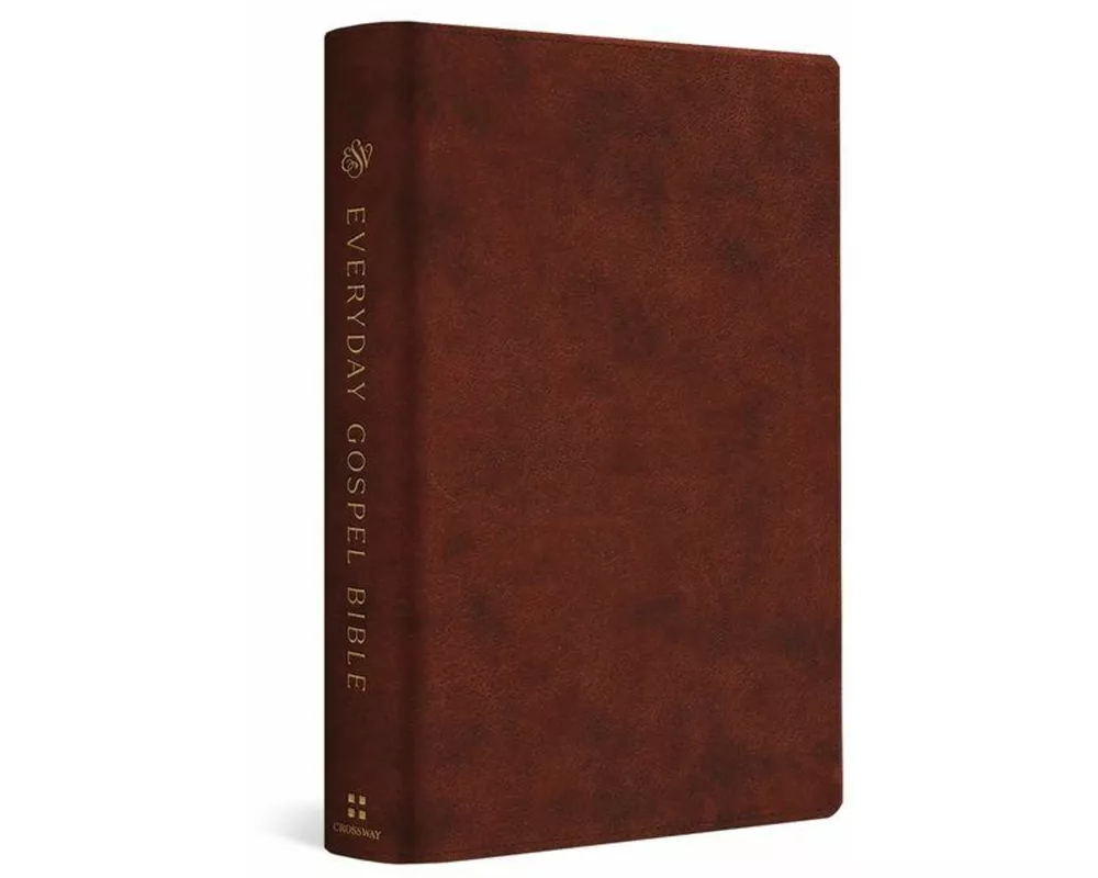 ESV Everyday Gospel Bible