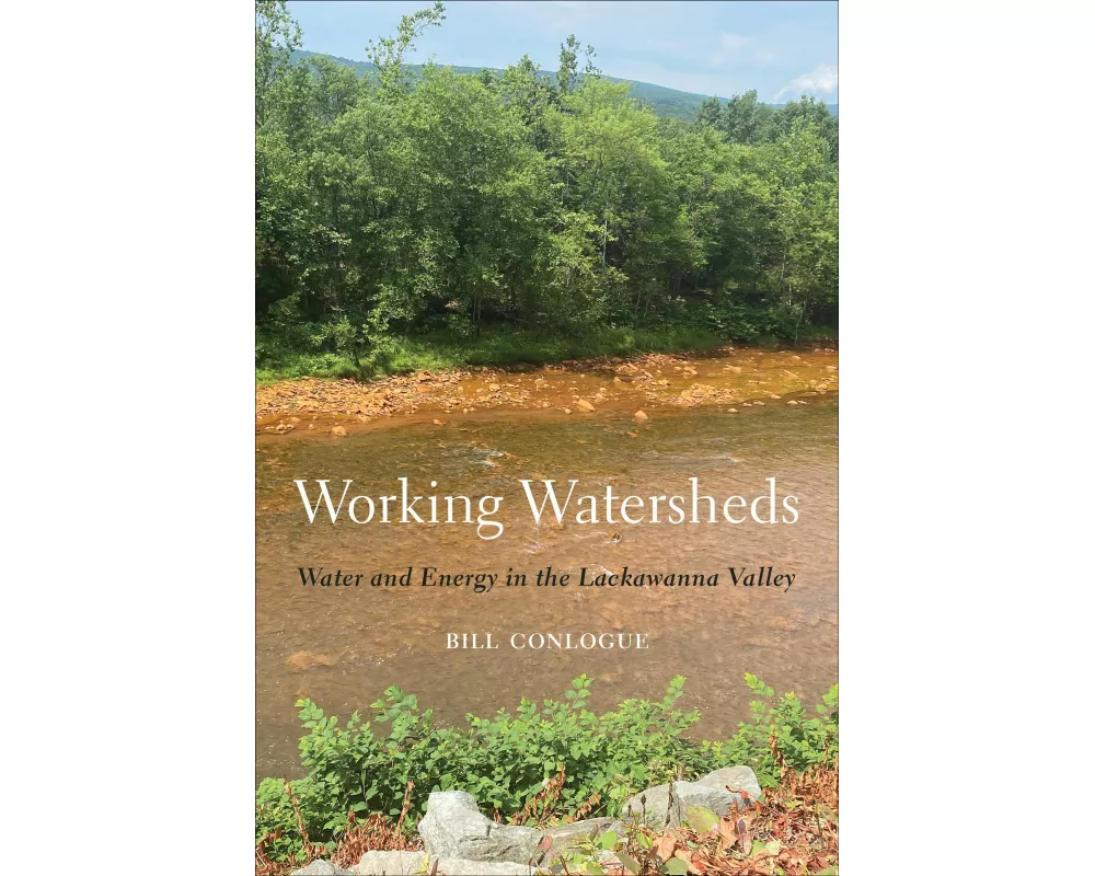 Working Watersheds