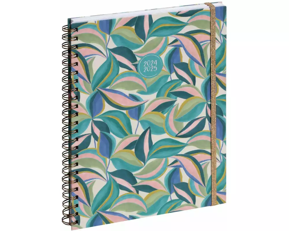 AS-13 Aug-Sept Capucine st 2024/2025