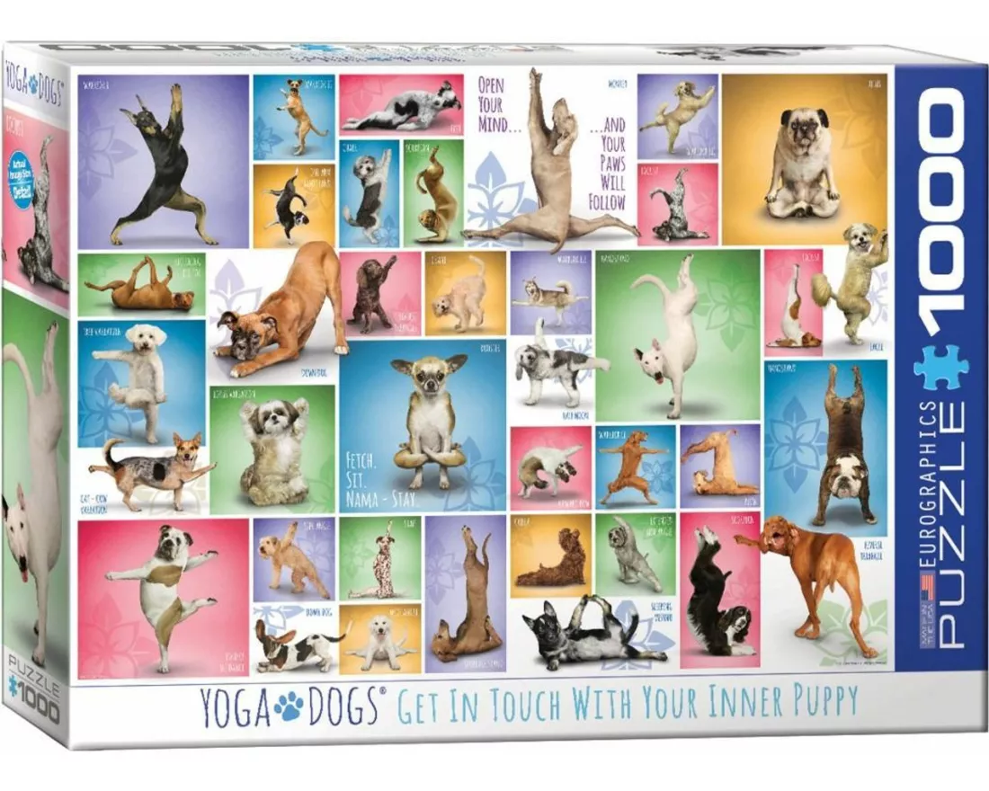Yoga Dogs