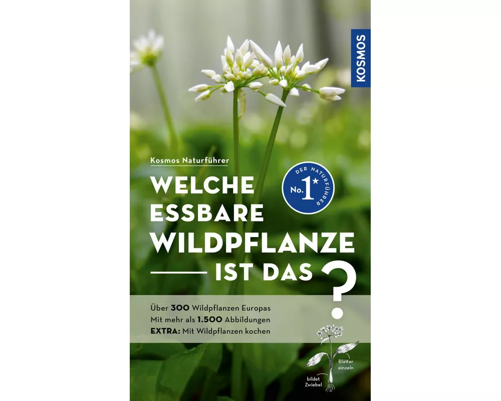 Welche essbare Wildpflanze ist das?