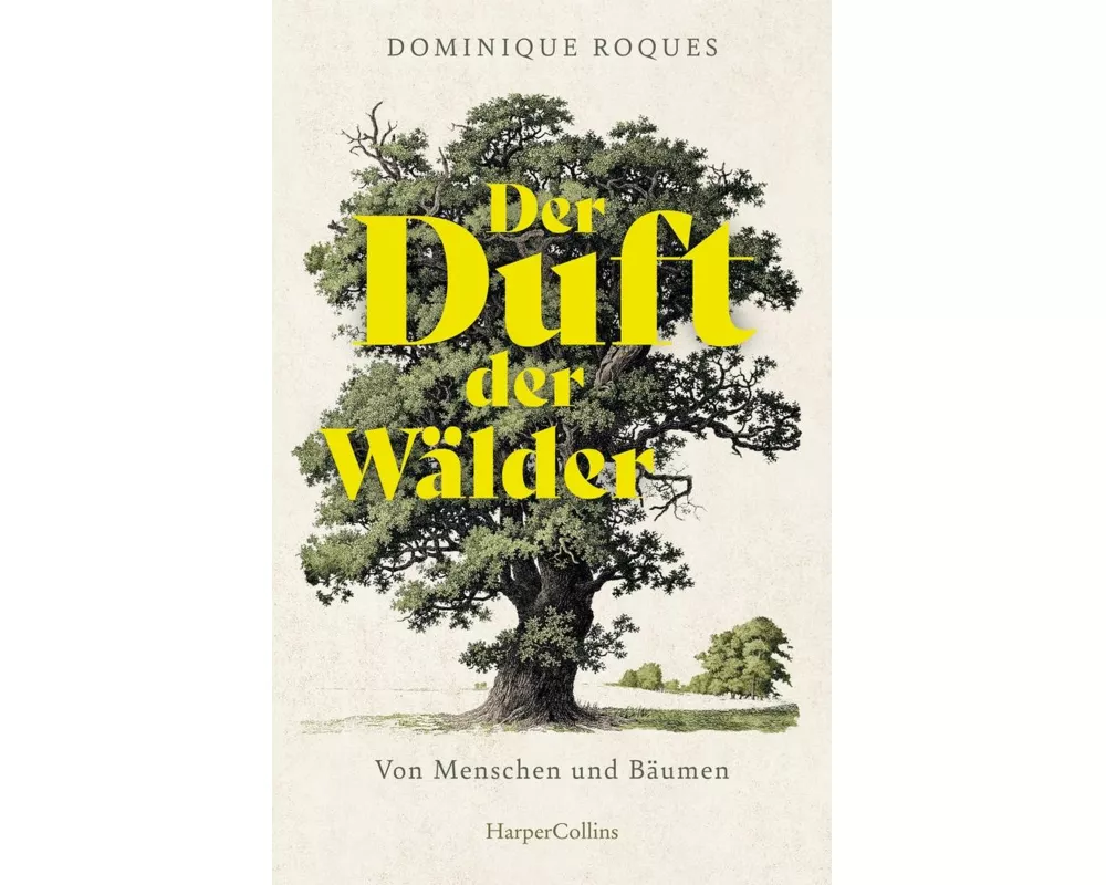 Der Duft der Wälder. Von Menschen und Bäumen