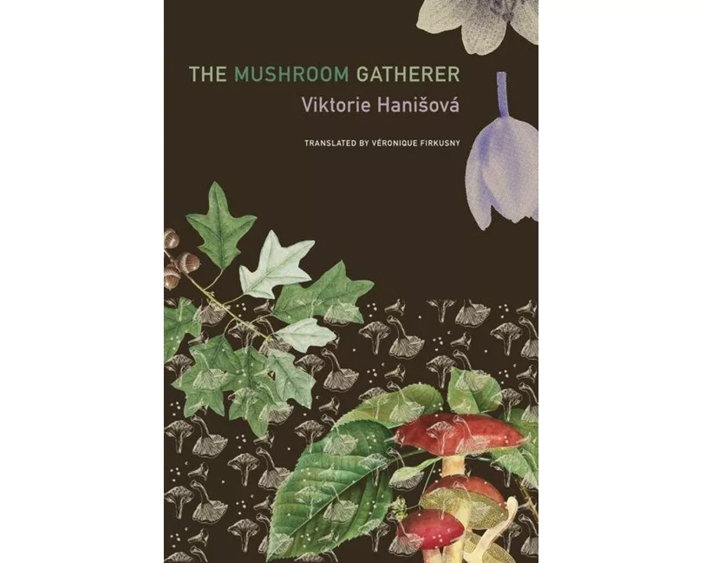 The Mushroom Gatherer