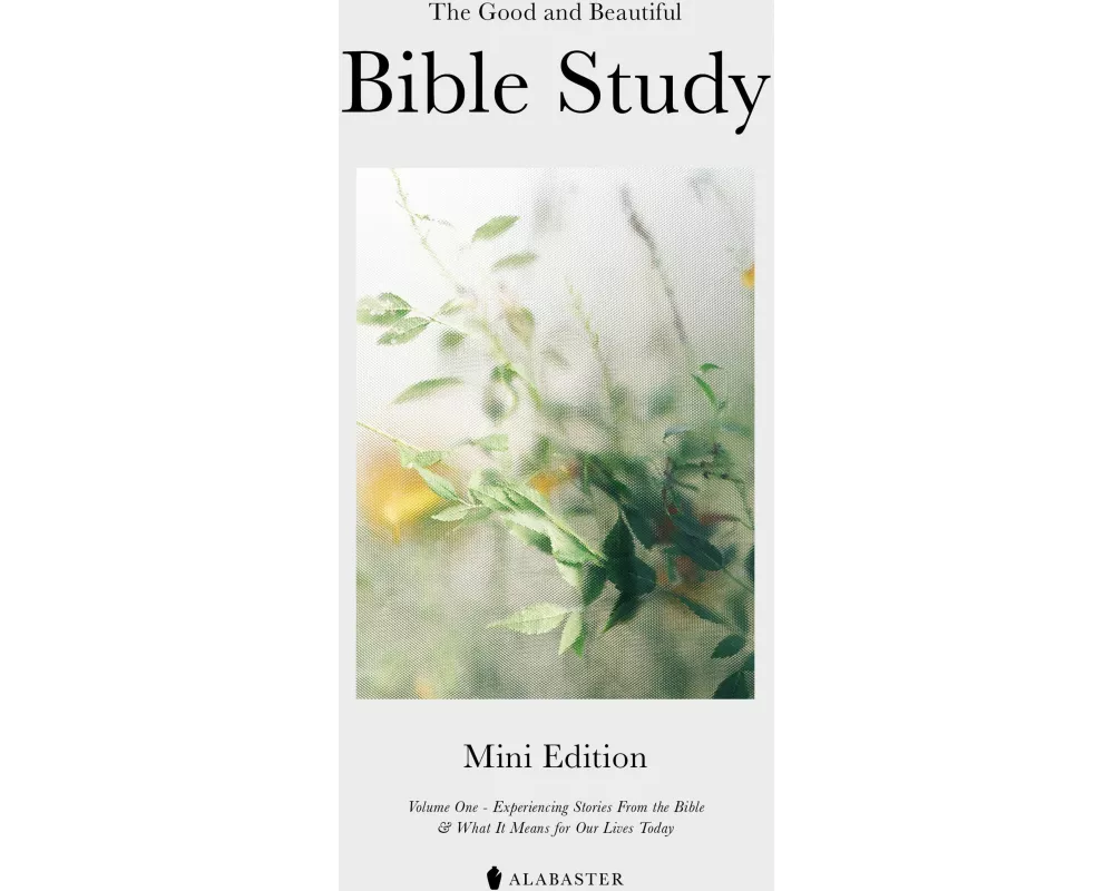 The Mini Good and Beautiful Bible Study