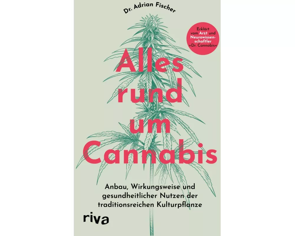 Alles rund um Cannabis