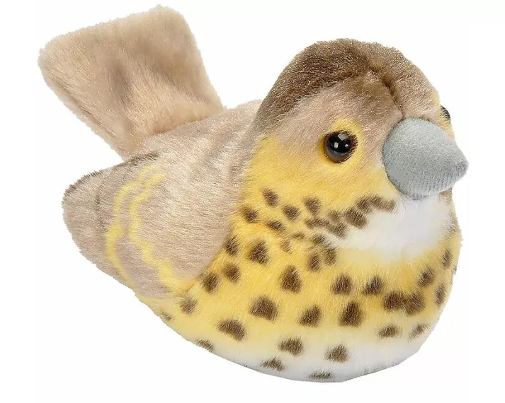 Plüsch Singdrossel singend RSPB Birds