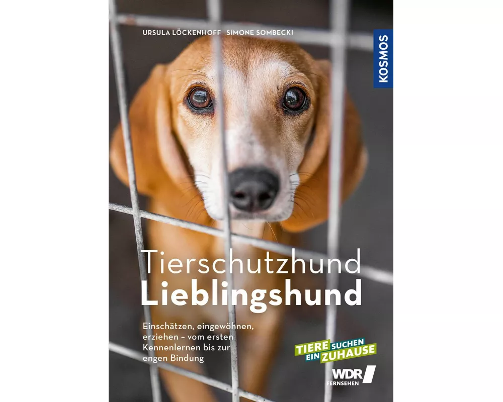 Tierschutzhund Lieblingshund