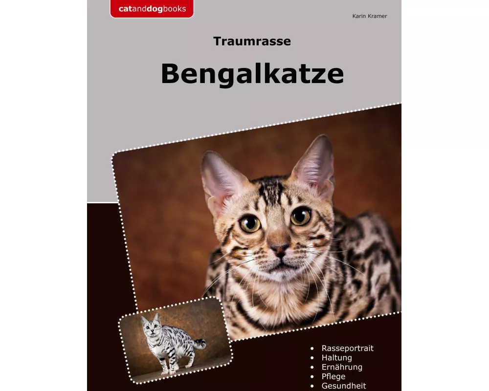 Traumrasse Bengalkatze