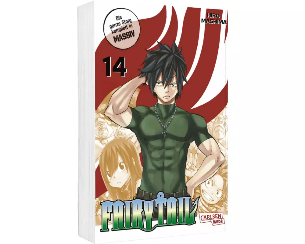 Fairy Tail Massiv 14