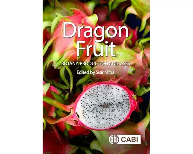 Dragon Fruit