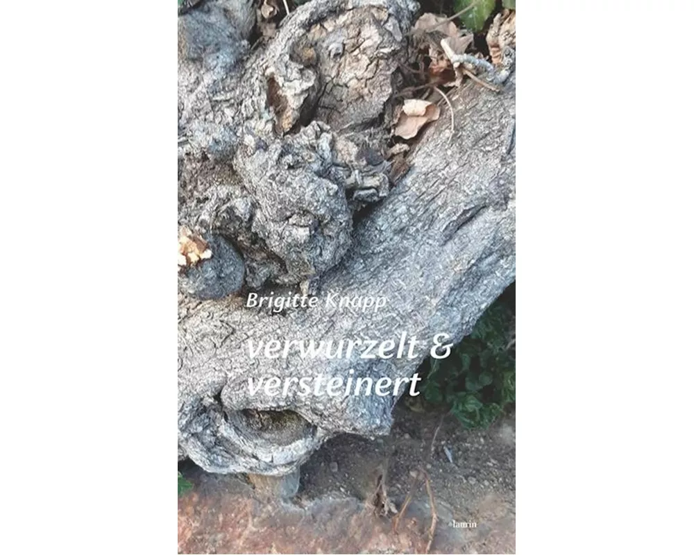 verwurzelt & versteinert
