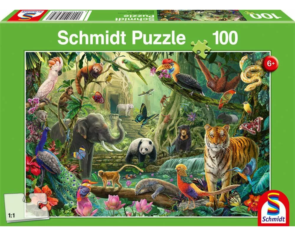 Bunte Tierwelt im Dschungel